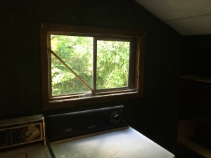 IMG_4679